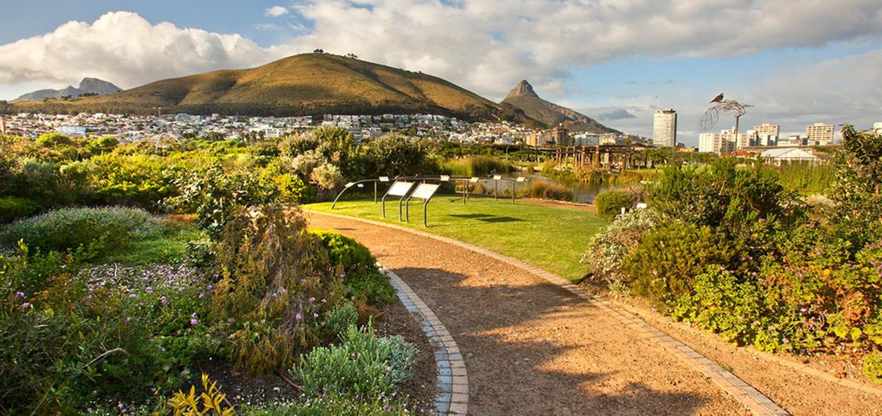 Harbour Terrace 48 By Ctha Appartement Kaapstad Buitenkant foto